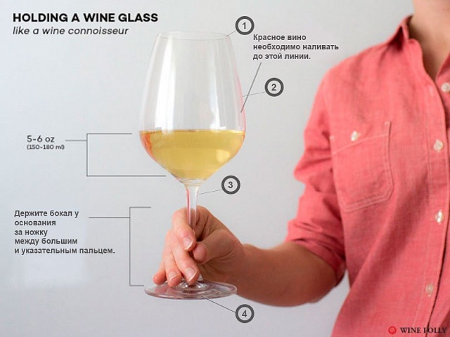 Как правильно держать бокал для вина?