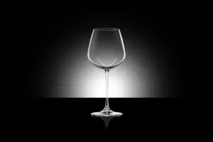 Набор бокалов 485 мл Desire Lucaris 6 шт для белого вина